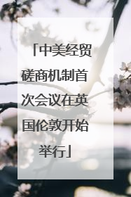 中美经贸磋商机制首次会议在英国伦敦开始举行