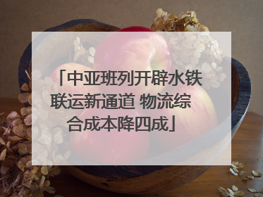 中亚班列开辟水铁联运新通道 物流综合成本降四成