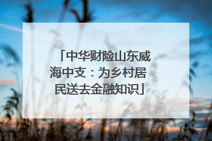 中华财险山东威海中支：为乡村居民送去金融知识