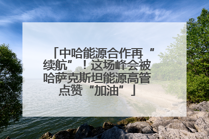 中哈能源合作再“续航”！这场峰会被哈萨克斯坦能源高管点赞“加油”