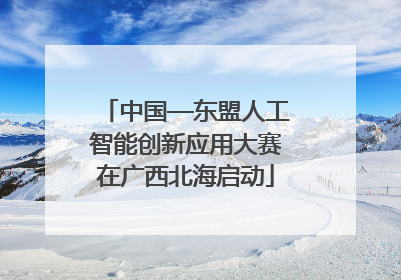 中国—东盟人工智能创新应用大赛在广西北海启动