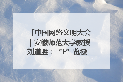 中国网络文明大会｜安徽师范大学教授刘道胜：“E”览徽风，构筑中华民族共有精神家园