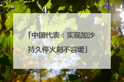 中国代表：实现加沙持久停火刻不容缓
