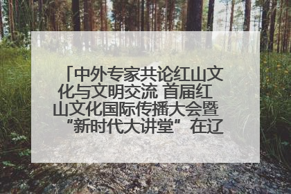 中外专家共论红山文化与文明交流 首届红山文化国际传播大会暨“新时代大讲堂”在辽宁朝阳举办