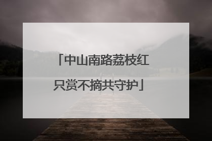 中山南路荔枝红 只赏不摘共守护