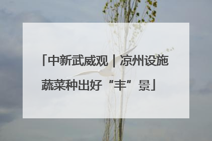 中新武威观｜凉州设施蔬菜种出好“丰”景