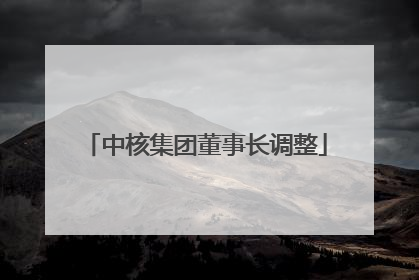 中核集团董事长调整