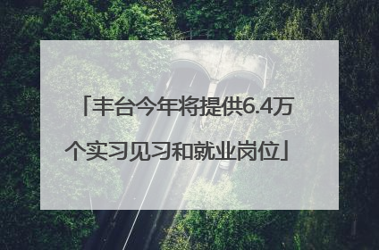 丰台今年将提供6.4万个实习见习和就业岗位