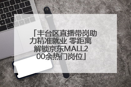 丰台区直播带岗助力精准就业 零距离解锁京东MALL200余热门岗位