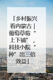 乡村振兴看内蒙古｜葡萄草莓“上下铺”，科技小院“种”出三倍效益