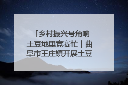 乡村振兴号角响 土豆地里竞赛忙｜曲阜市王庄镇开展土豆收获劳动竞赛
