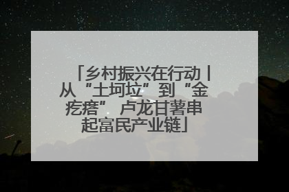 乡村振兴在行动丨从“土坷垃”到“金疙瘩” 卢龙甘薯串起富民产业链