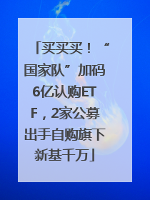 买买买！“国家队”加码6亿认购ETF，2家公募出手自购旗下新基千万
