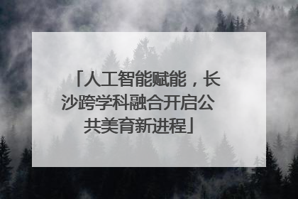 人工智能赋能，长沙跨学科融合开启公共美育新进程