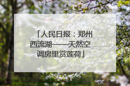 人民日报：郑州西流湖——天然空调房里赏莲荷