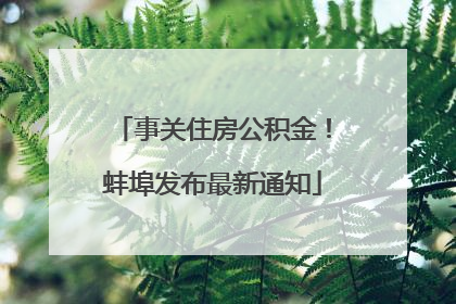 事关住房公积金！蚌埠发布最新通知