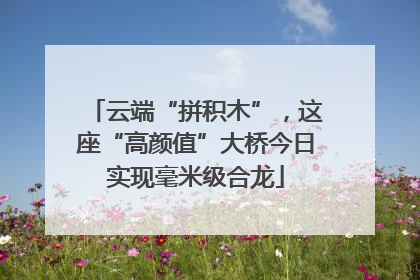 云端“拼积木”，这座“高颜值”大桥今日实现毫米级合龙