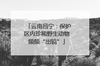 云南昌宁：保护区内珍稀野生动物频频“出镜”