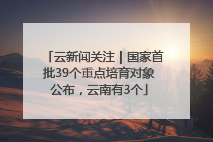 云新闻关注｜国家首批39个重点培育对象公布，云南有3个