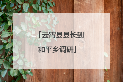 云霄县县长到和平乡调研