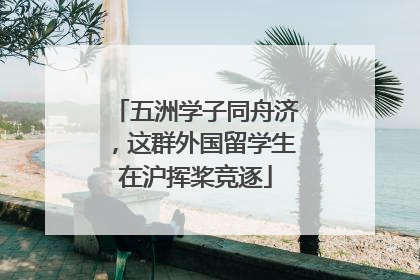 五洲学子同舟济，这群外国留学生在沪挥桨竞逐
