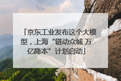 京东工业发布这个大模型，上海“链动众城 万亿降本”计划启动