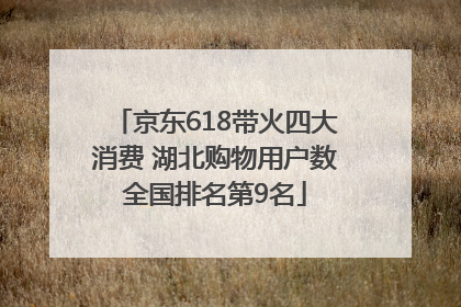 京东618带火四大消费 湖北购物用户数全国排名第9名