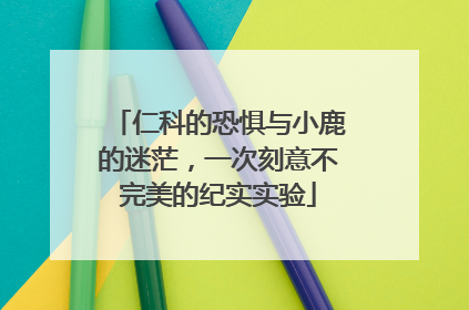 仁科的恐惧与小鹿的迷茫，一次刻意不完美的纪实实验