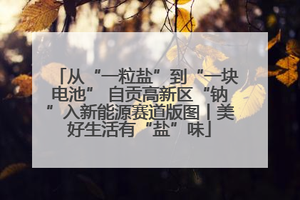 从“一粒盐”到“一块电池” 自贡高新区“钠”入新能源赛道版图丨美好生活有“盐”味