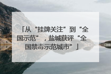 从“挂牌关注”到“全国示范”，盐城获评“全国禁毒示范城市”
