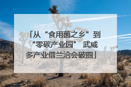 从“食用菌之乡”到“零碳产业园” 武威多产业借兰洽会破圈