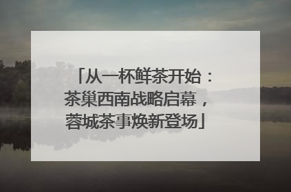从一杯鲜茶开始：茶巢西南战略启幕，蓉城茶事焕新登场