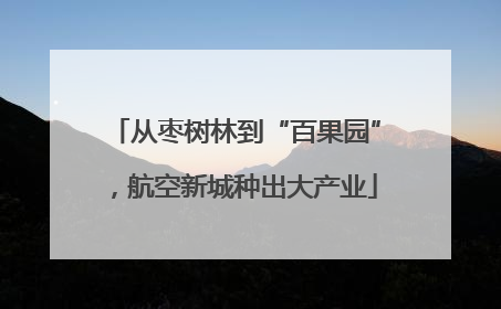 从枣树林到“百果园”，航空新城种出大产业