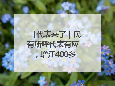 代表来了｜民有所呼代表有应，增江400多年古码头焕新