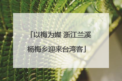 以梅为媒 浙江兰溪杨梅乡迎来台湾客