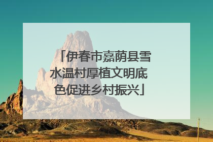 伊春市嘉荫县雪水温村厚植文明底色促进乡村振兴