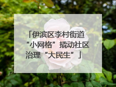 伊滨区李村街道 “小网格”撬动社区治理“大民生”