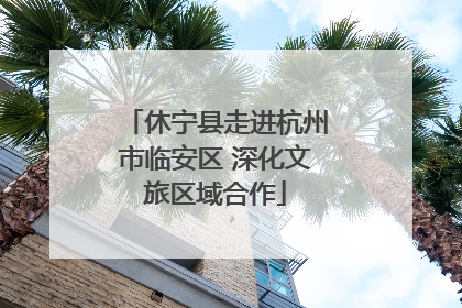 休宁县走进杭州市临安区 深化文旅区域合作