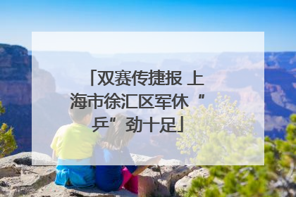 双赛传捷报 上海市徐汇区军休“乒”劲十足