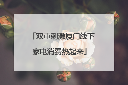 双重刺激厦门线下家电消费热起来