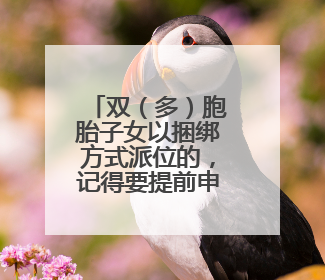 双（多）胞胎子女以捆绑方式派位的，记得要提前申请