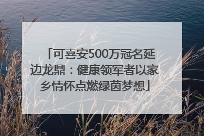 可喜安500万冠名延边龙鼎：健康领军者以家乡情怀点燃绿茵梦想