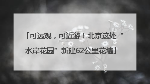 可远观，可近游！北京这处“水岸花园”新建62公里花墙