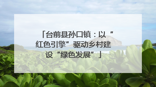 台前县孙口镇：以“红色引擎”驱动乡村建设“绿色发展”
