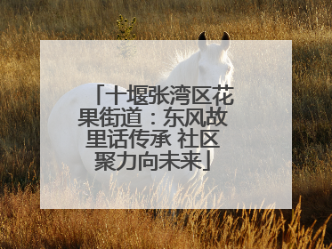 十堰张湾区花果街道：东风故里话传承 社区聚力向未来