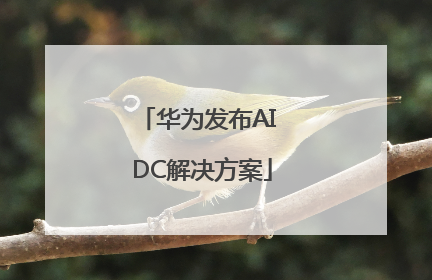 华为发布AI DC解决方案