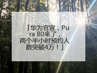 华为官宣，Pura 80来了，两个半小时预约人数突破4万！