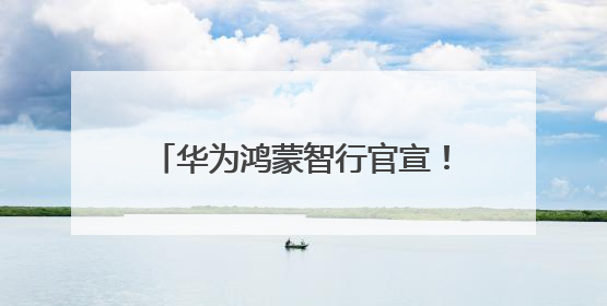 华为鸿蒙智行官宣！智界全系补贴2万元