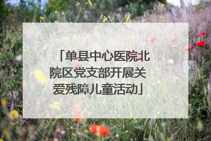 单县中心医院北院区党支部开展关爱残障儿童活动