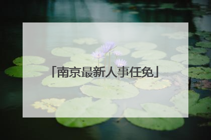 南京最新人事任免